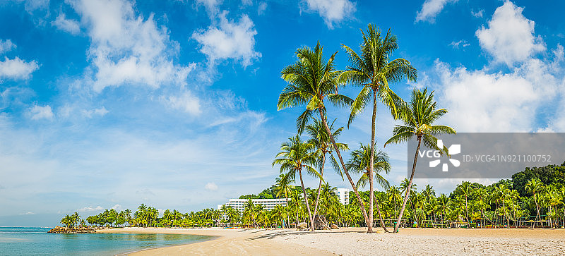 热带岛屿海滩棕榈树白色沙滩度假村新加坡图片素材