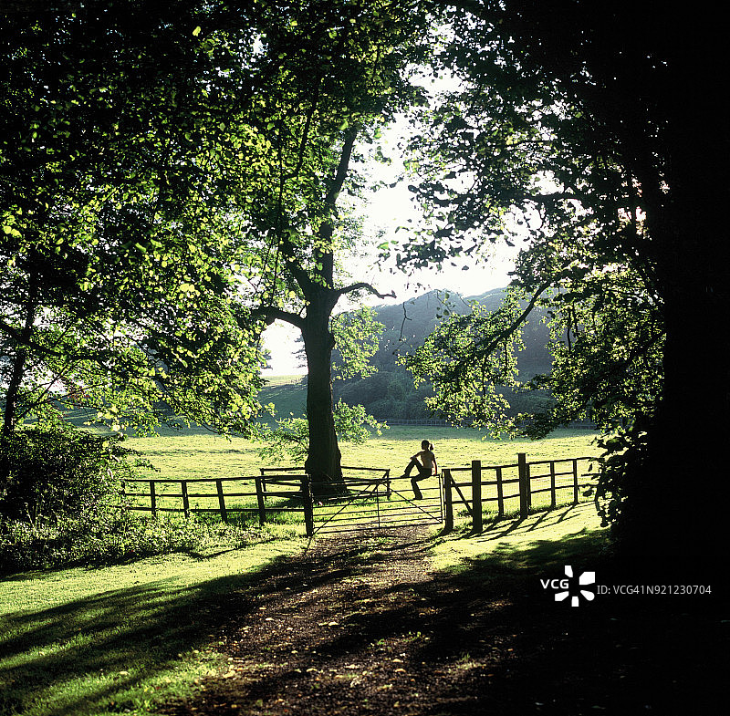 草地上坐在栅栏上的少女剪影图片素材
