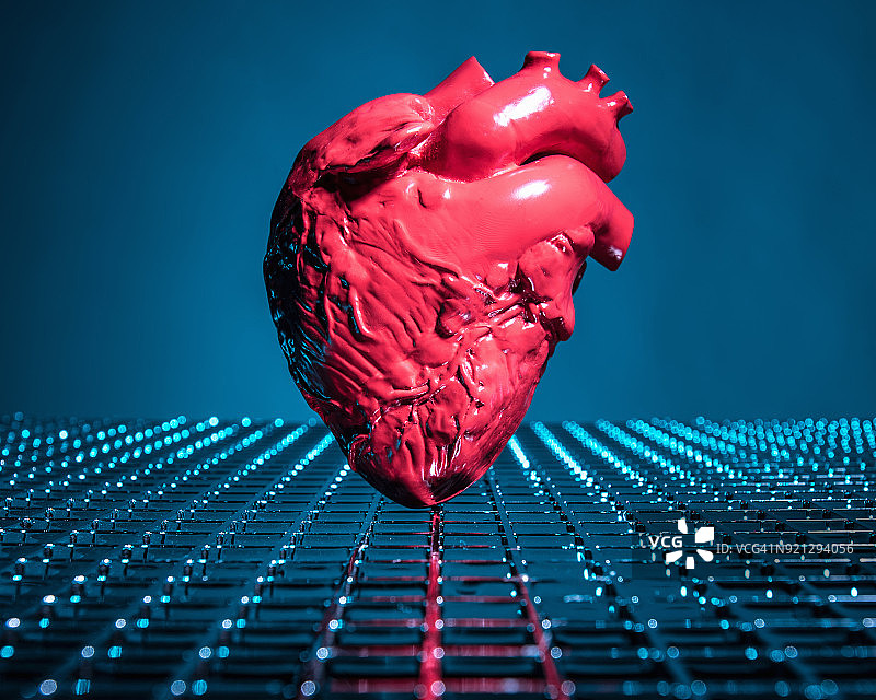 人类的心脏图片素材