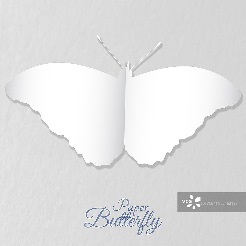 纸蝴蝶图片素材