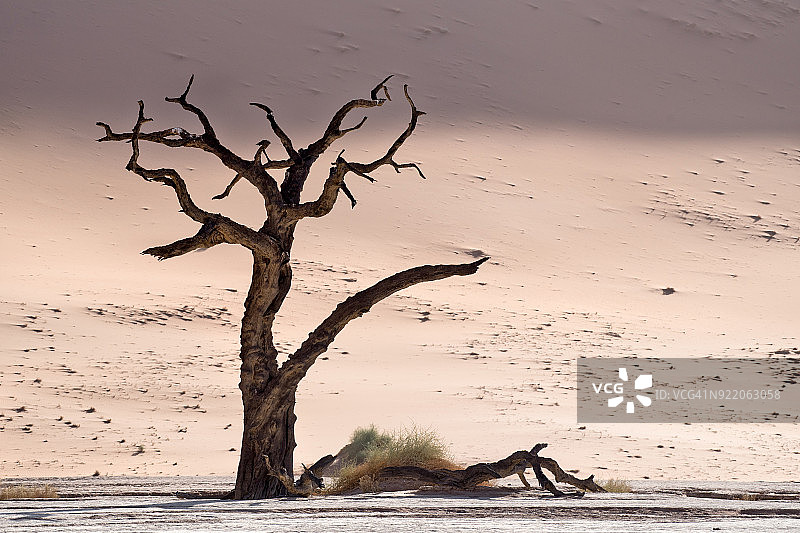 纳米比亚，死亡谷图片素材