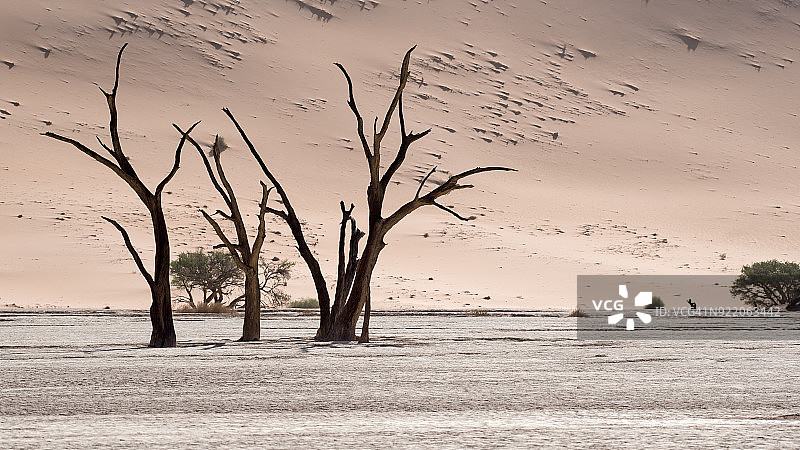 纳米比亚，死亡谷图片素材