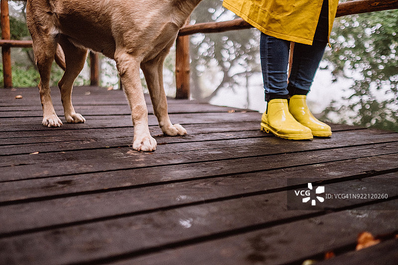 狗和它的主人图片素材