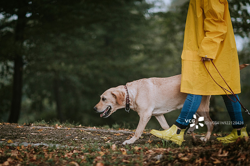 随时都是散步的好时机图片素材