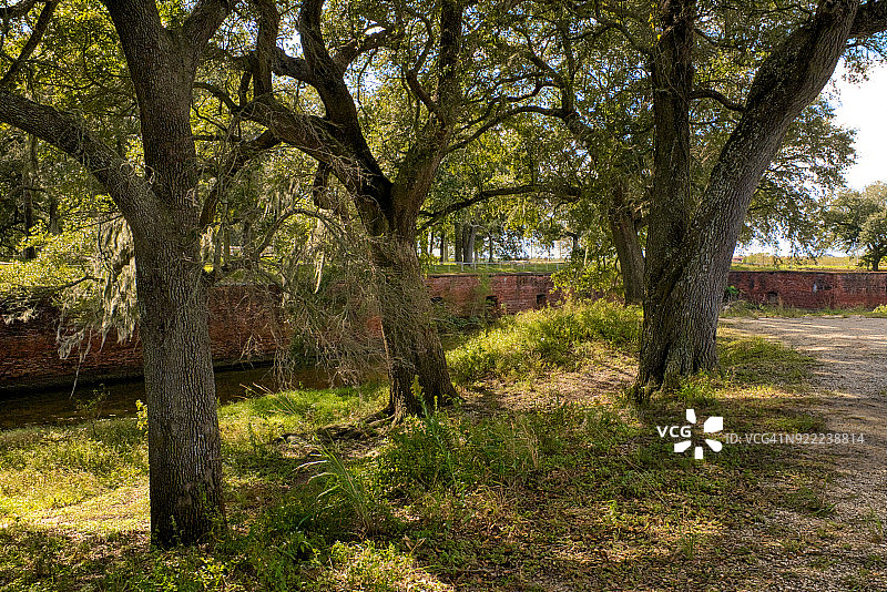 路易斯安那州布拉斯杰克逊堡的栎树图片素材