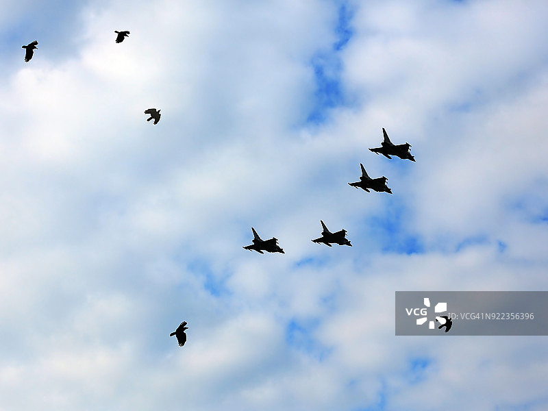四架军用喷气机和几只鸟在空中（德国）图片素材
