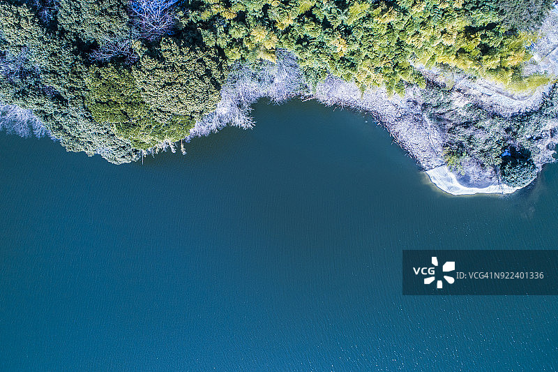 海岸和森林图片素材