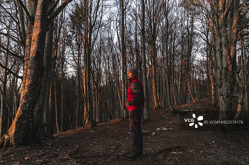 日出时森林中的徒步者图片素材