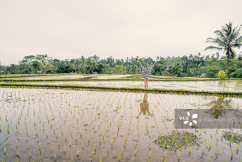 年轻女人在乌布-巴厘岛的稻田里伸开双臂图片素材