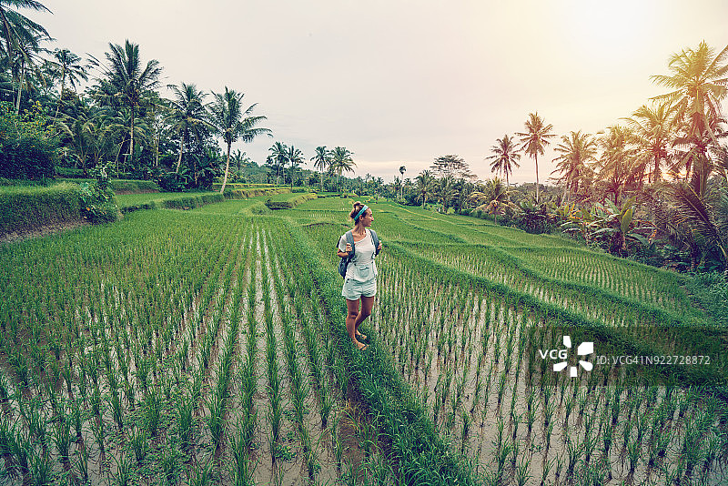 年轻女子在乌布-巴厘岛稻田边沉思图片素材