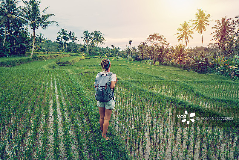 年轻女子在乌布-巴厘岛稻田边沉思图片素材