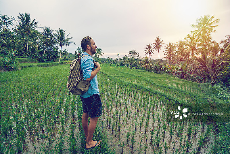 男子站在印度尼西亚巴厘岛的梯田上沉思图片素材