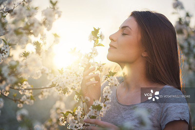 完美的春日香气图片素材