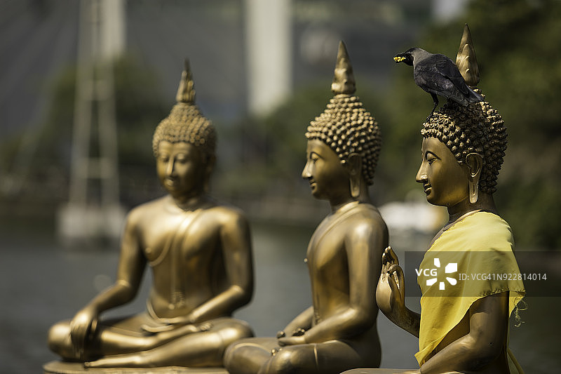 科伦坡的西玛马拉卡寺图片素材