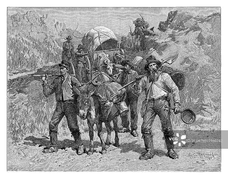 淘金者图片素材