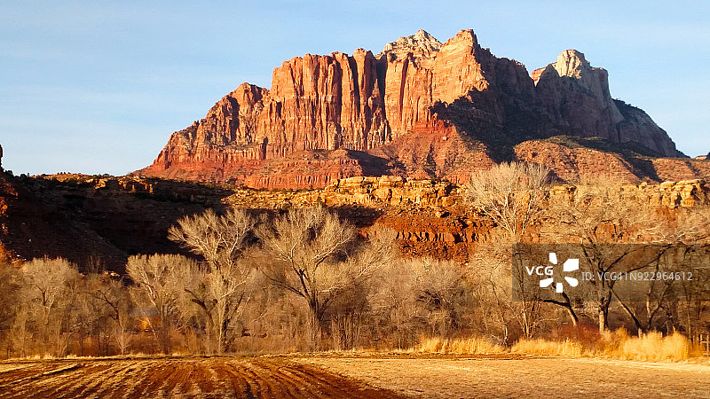 锡安国家公园的基内萨瓦山和犹他州罗克维尔处女河沿岸的落叶树图片素材