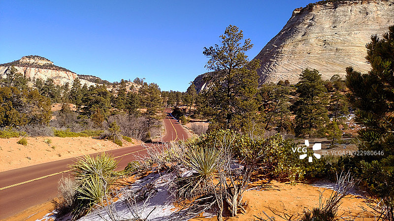 锡安国家公园棋盘台地附近沙丘上的风景公路和沙漠植被，犹他州图片素材