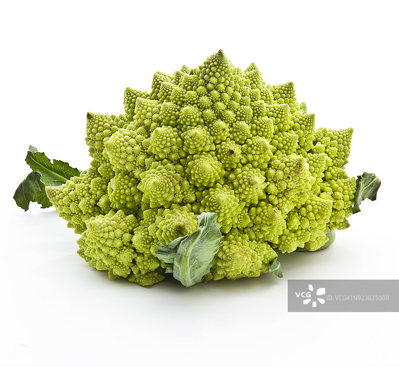 白色背景上的宝塔菜花图片素材