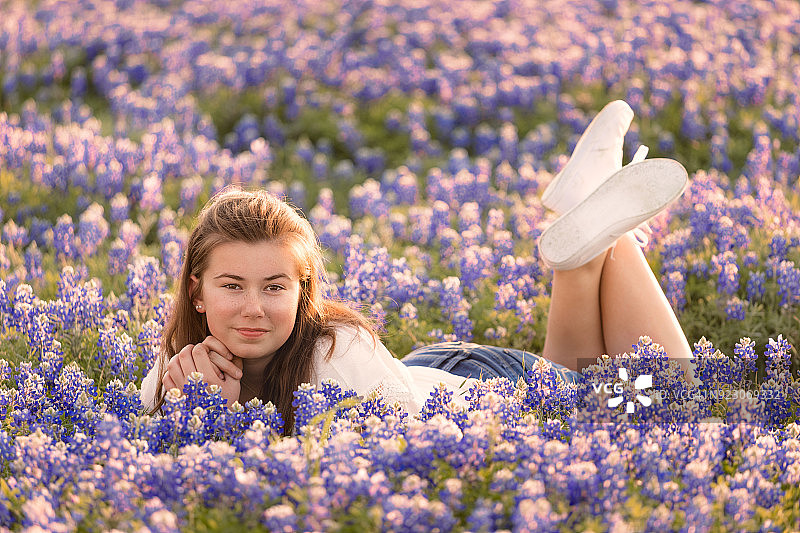 躺在矢车菊花田里的少女图片素材