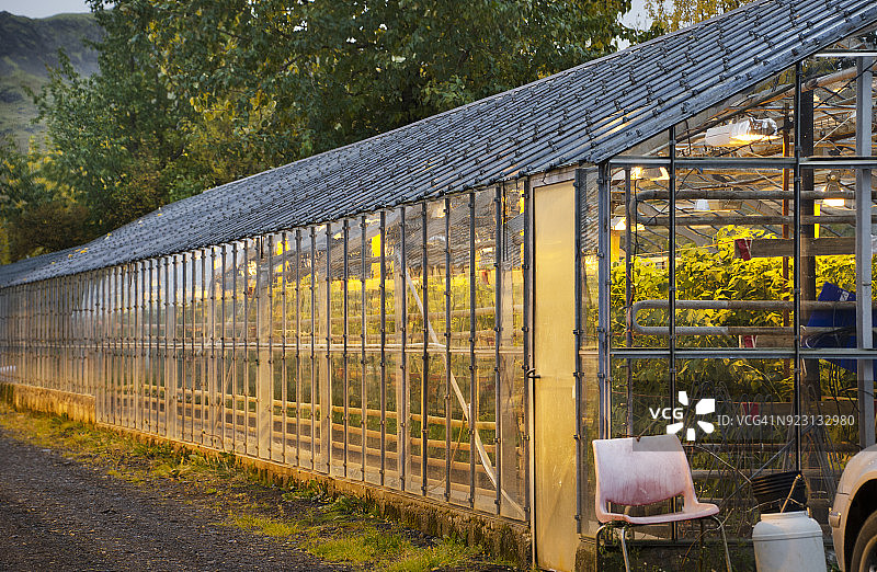 冰岛温室图片素材