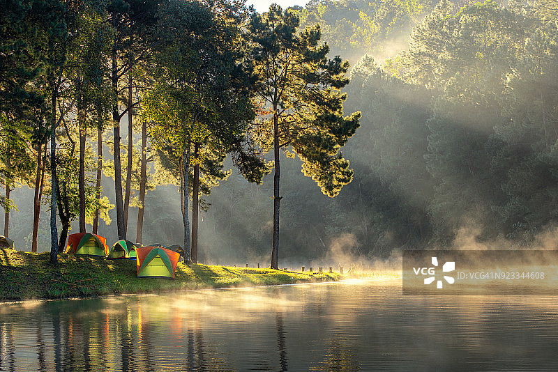 泰国夜丰颂府邦翁湖的晨曦：光影与湖面蒸汽，松树林自然背景图片素材
