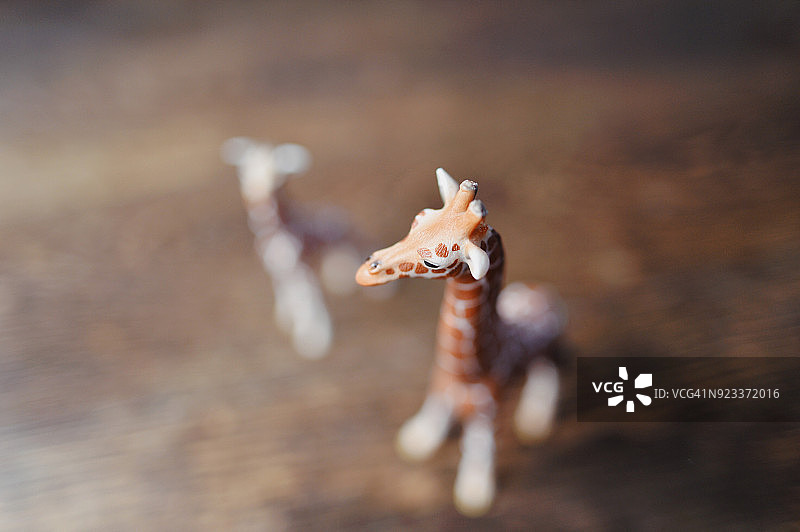 玩具长颈鹿模型和木地板上的小长颈鹿图片素材