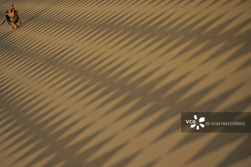 马斯卡尼露台，里窝那，托斯卡纳，意大利图片素材