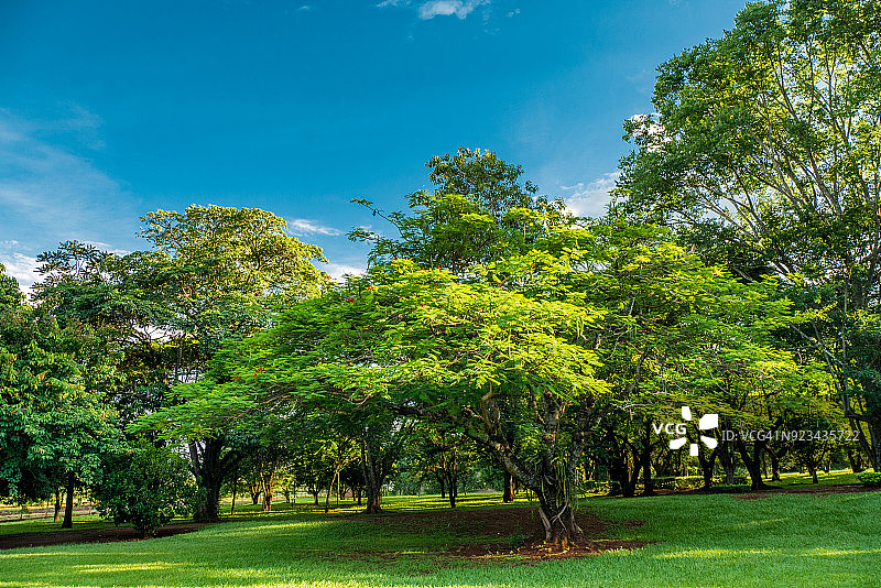 农舍花园图片素材