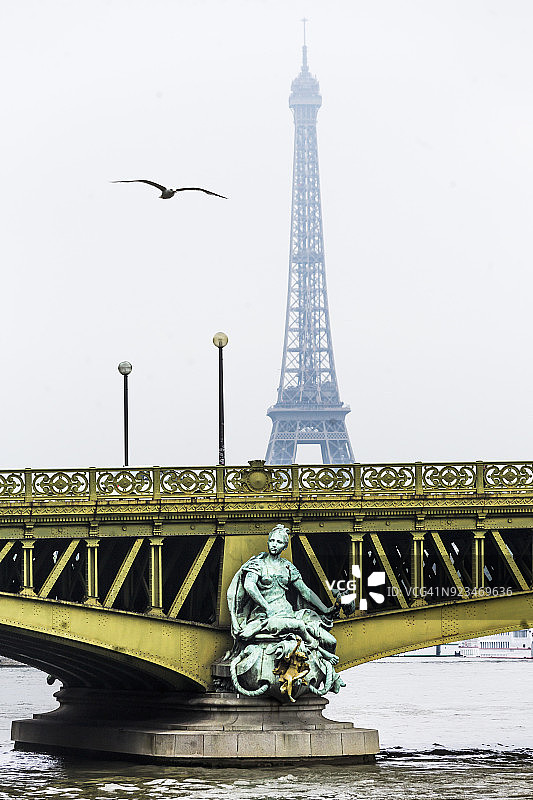 海鸥飞过米拉波桥。背景是埃菲尔铁塔图片素材