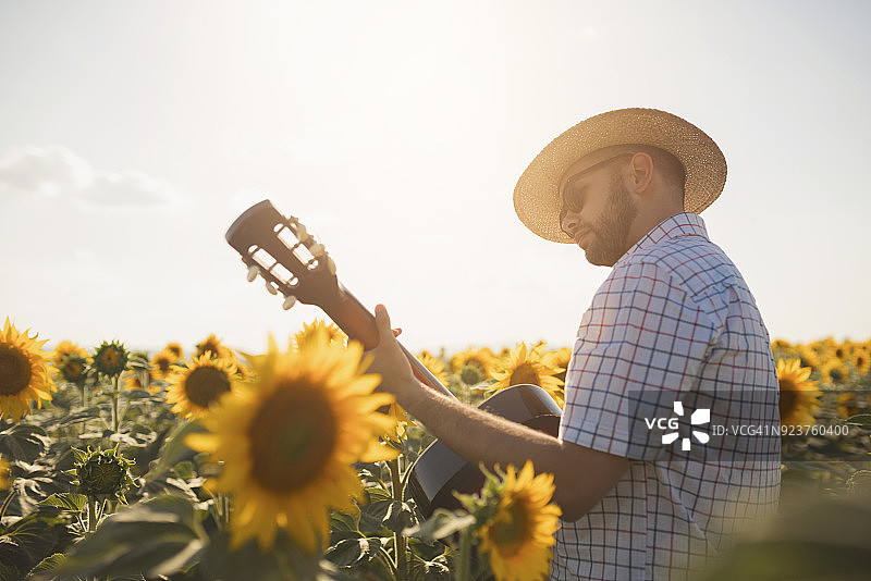 向日葵香颂图片素材