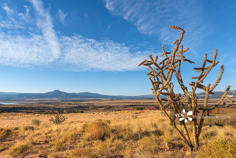皮埃尔·伦布雷图片素材