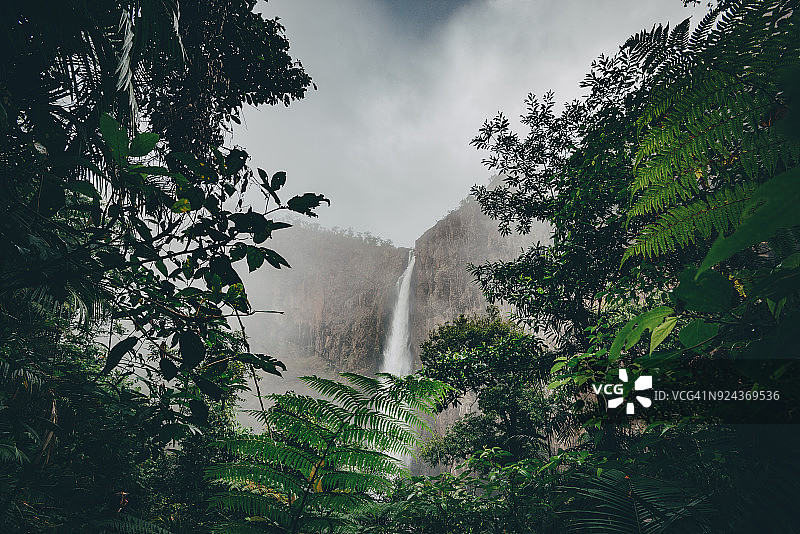 瓦拉曼瀑布雨林图片素材