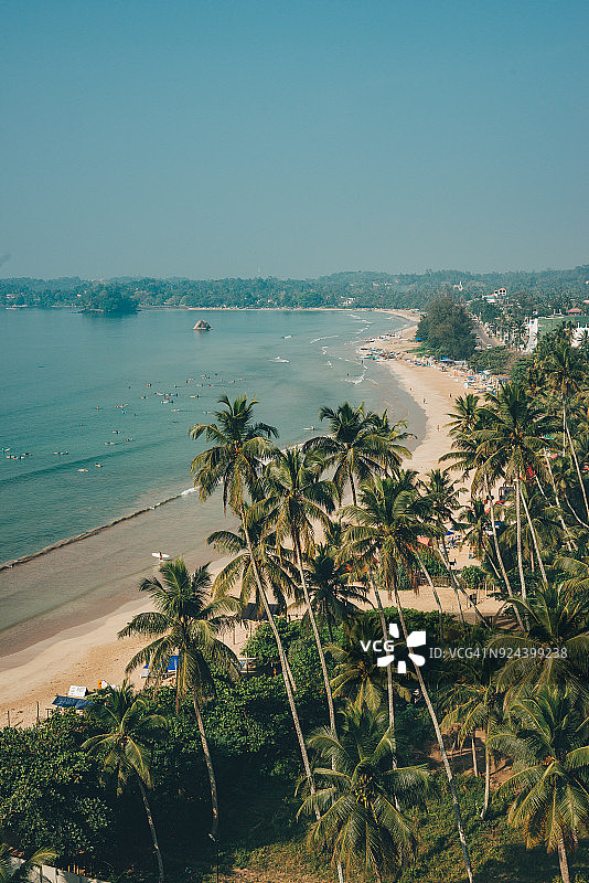 韦利格默海滩的棕榈树图片素材