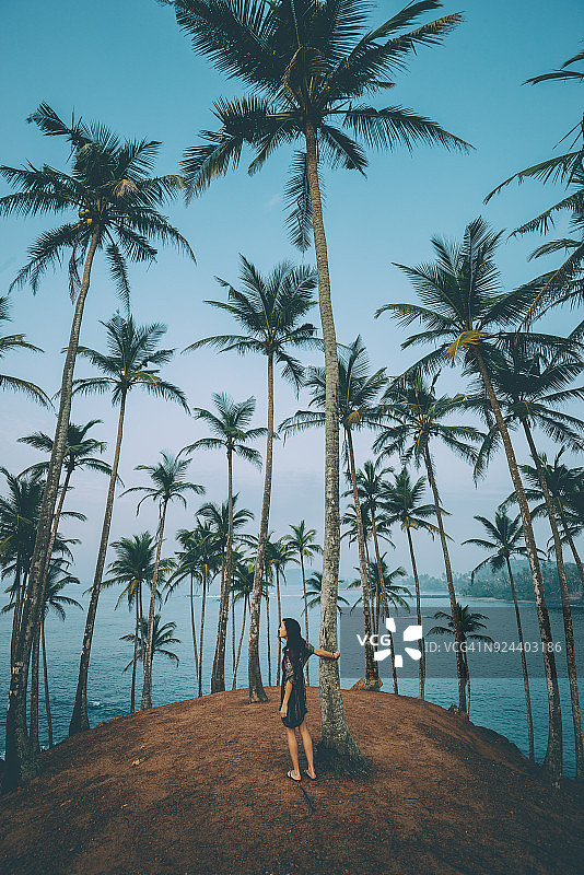 斯里兰卡棕榈树背包客图片素材