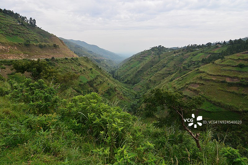 穿行在鲁文佐里山脉山坡上的公路图片素材