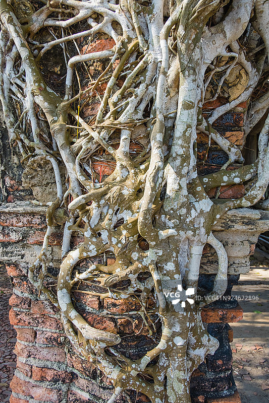 越南前江省鹅恭市真诚古寺图片素材