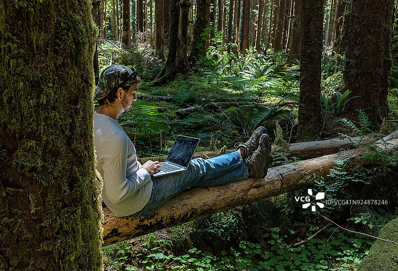 数字游民 - 霍河雨林图片素材