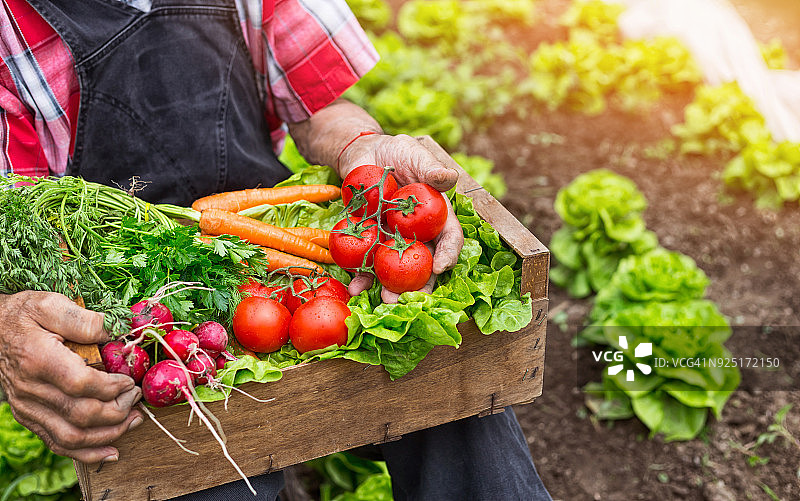 蔬菜箱图片素材