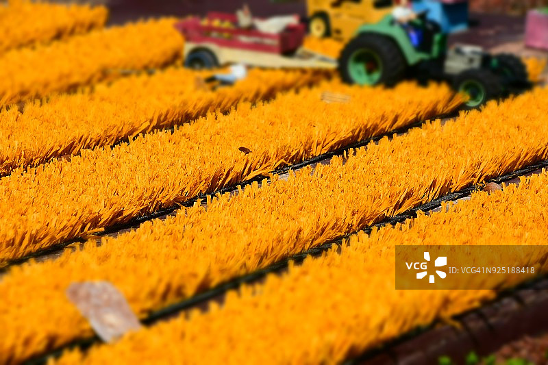 玩具拖拉机在人造田地上耕作图片素材