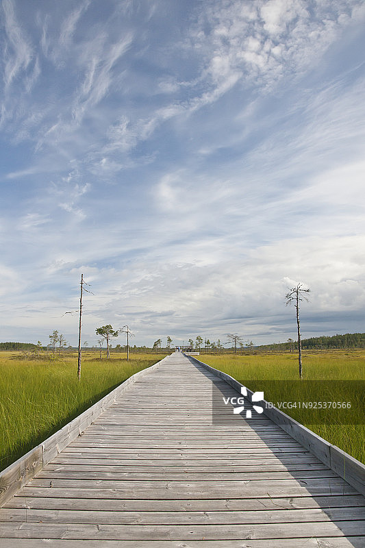 草地中的小路图片素材