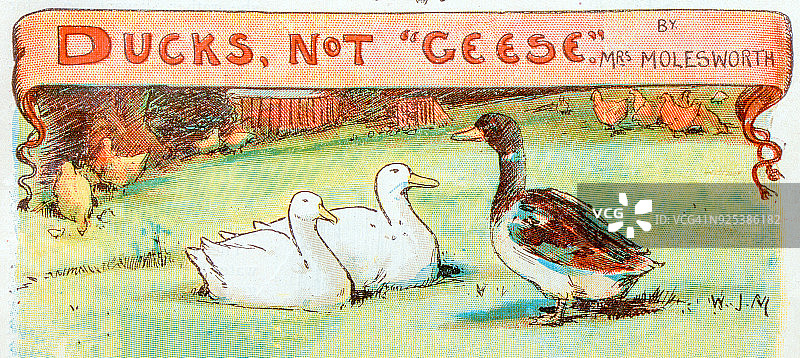 古董儿童书籍插画：鸭子不是鹅图片素材