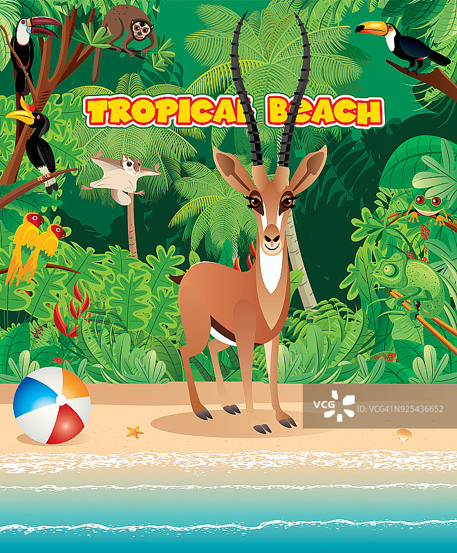 瞪羚与海滩图片素材