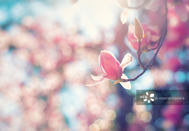 阳光下图片素材