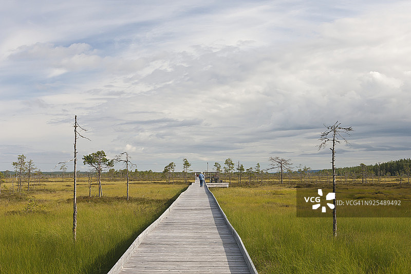 草地中的小路图片素材