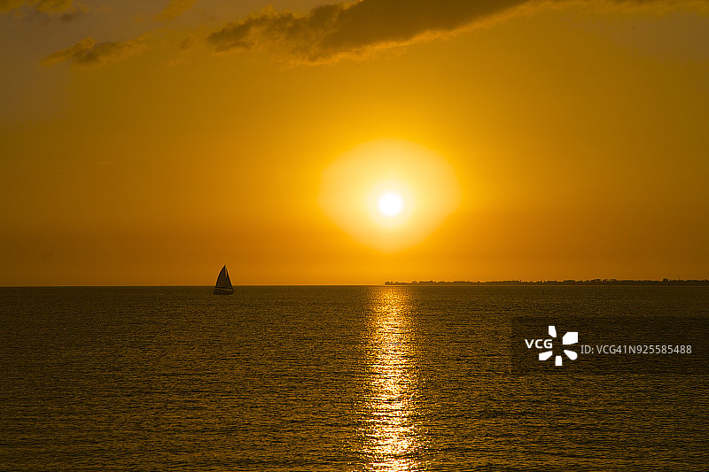 迈尔斯堡海滩金色地平线上的单桅帆船图片素材