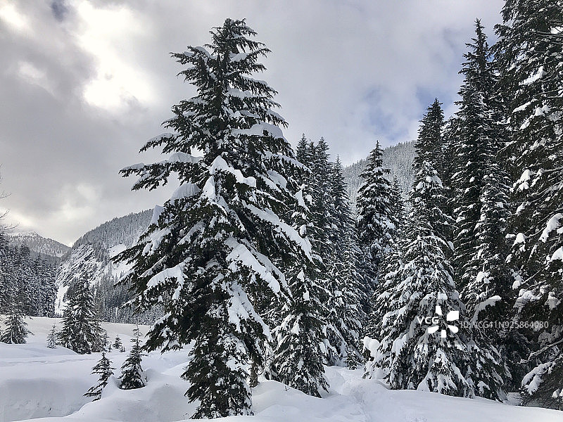 冬季景色：华盛顿州喀斯喀特山脉图片素材