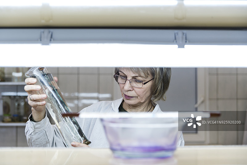 在生物实验室研究动物学湿标本的50岁中年女科学家图片素材