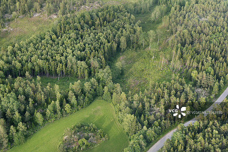绿色森林航拍图片素材
