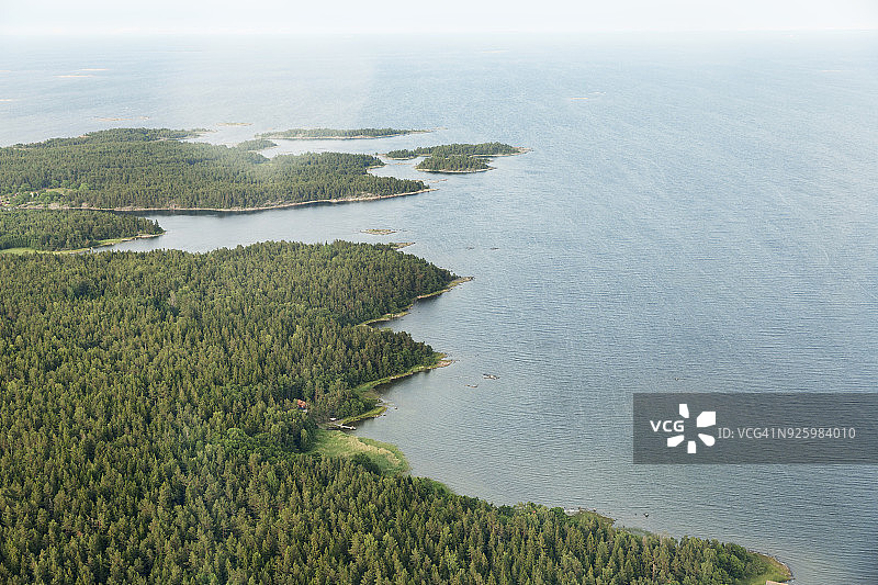 海滨森林鸟瞰图片素材