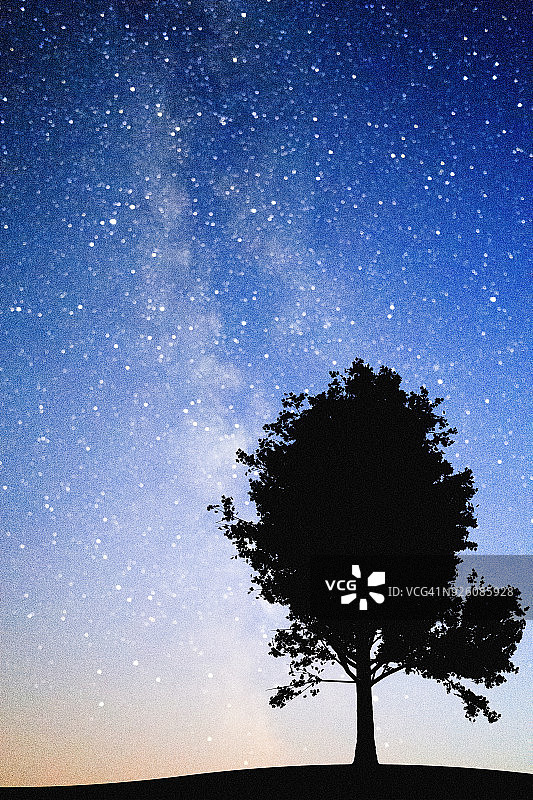 星空下的孤单枫树图片素材